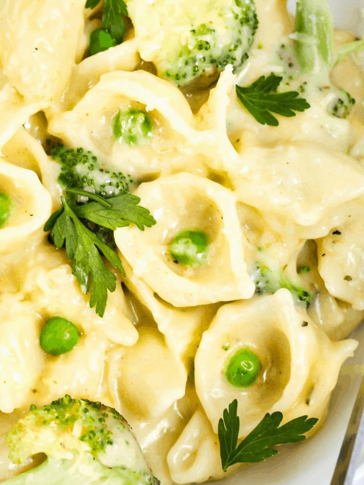 Creamy shell pasta with peas and pasta in a plate.