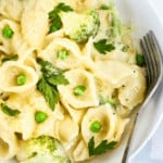 cheesy-seashell-pasta