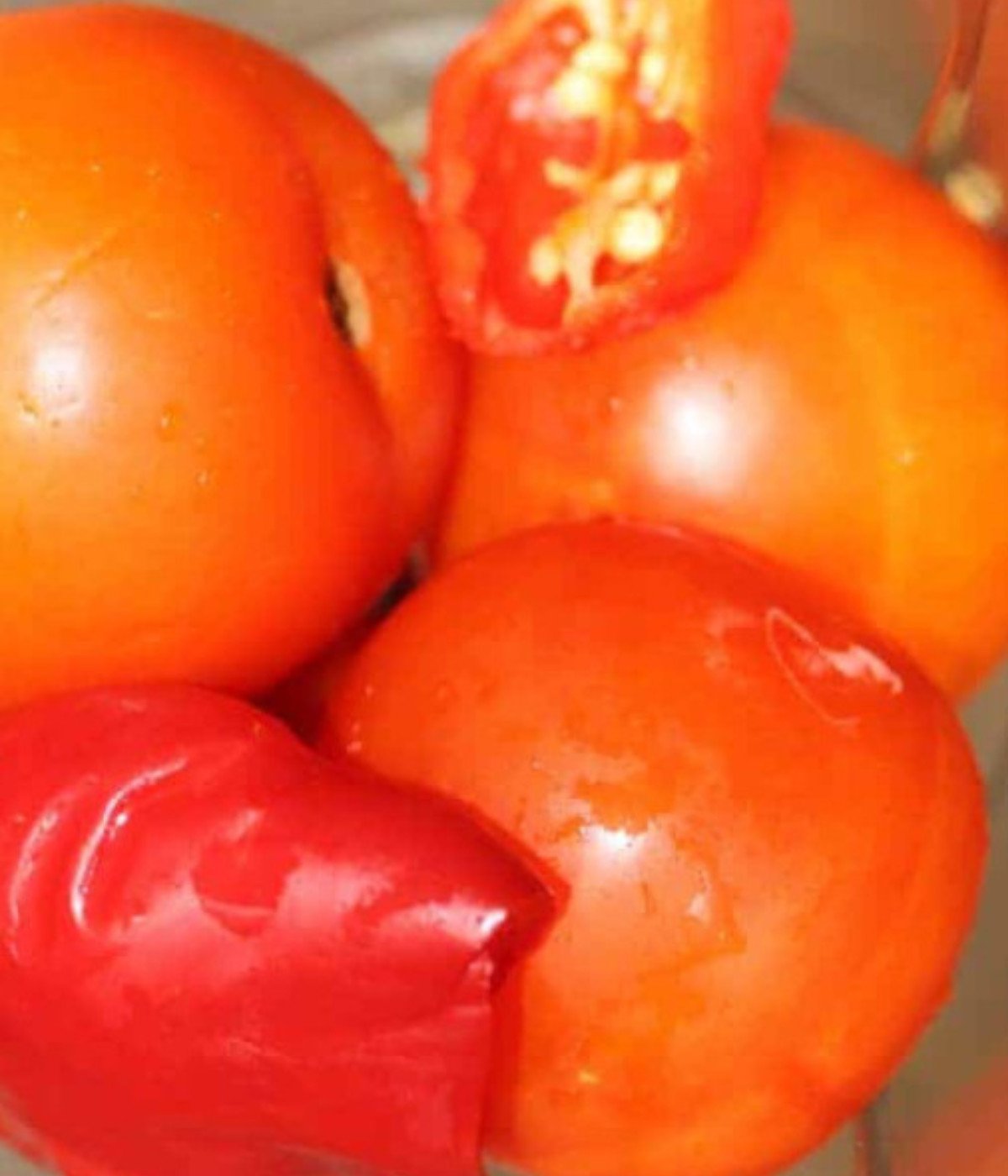 Tomatoes in a blender.