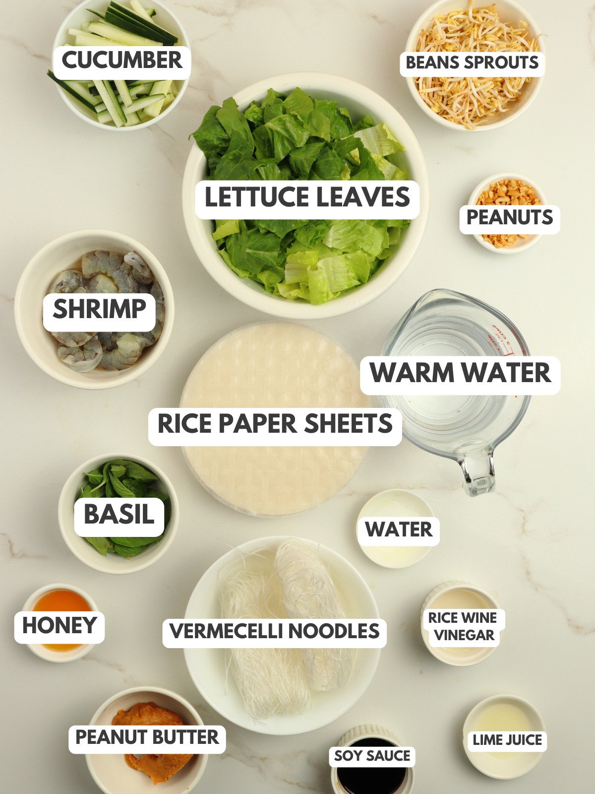 Cucumber, lettuce, beans sprouts, peanuts, shrimp, rice paper sheets, noodles, peanut butter, soy sauce and water.
