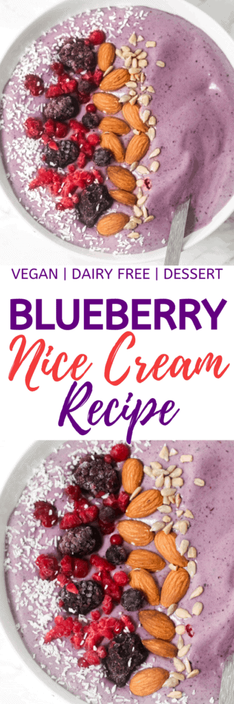 blueberry-nice-cream-recipe