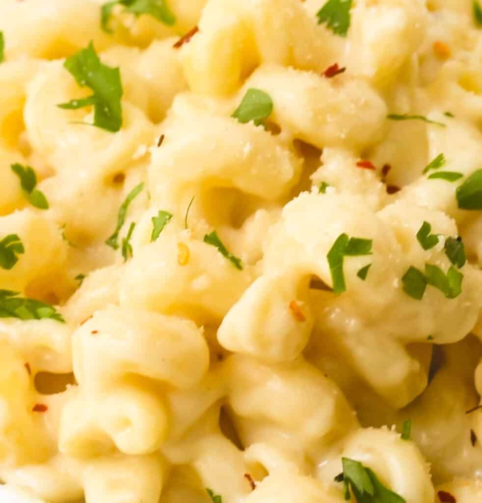 cheesy-creamy-macaroni-pasta