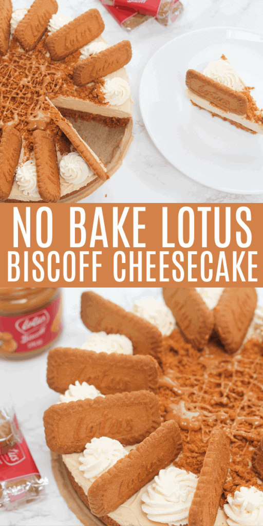 No Bake Lotus 1