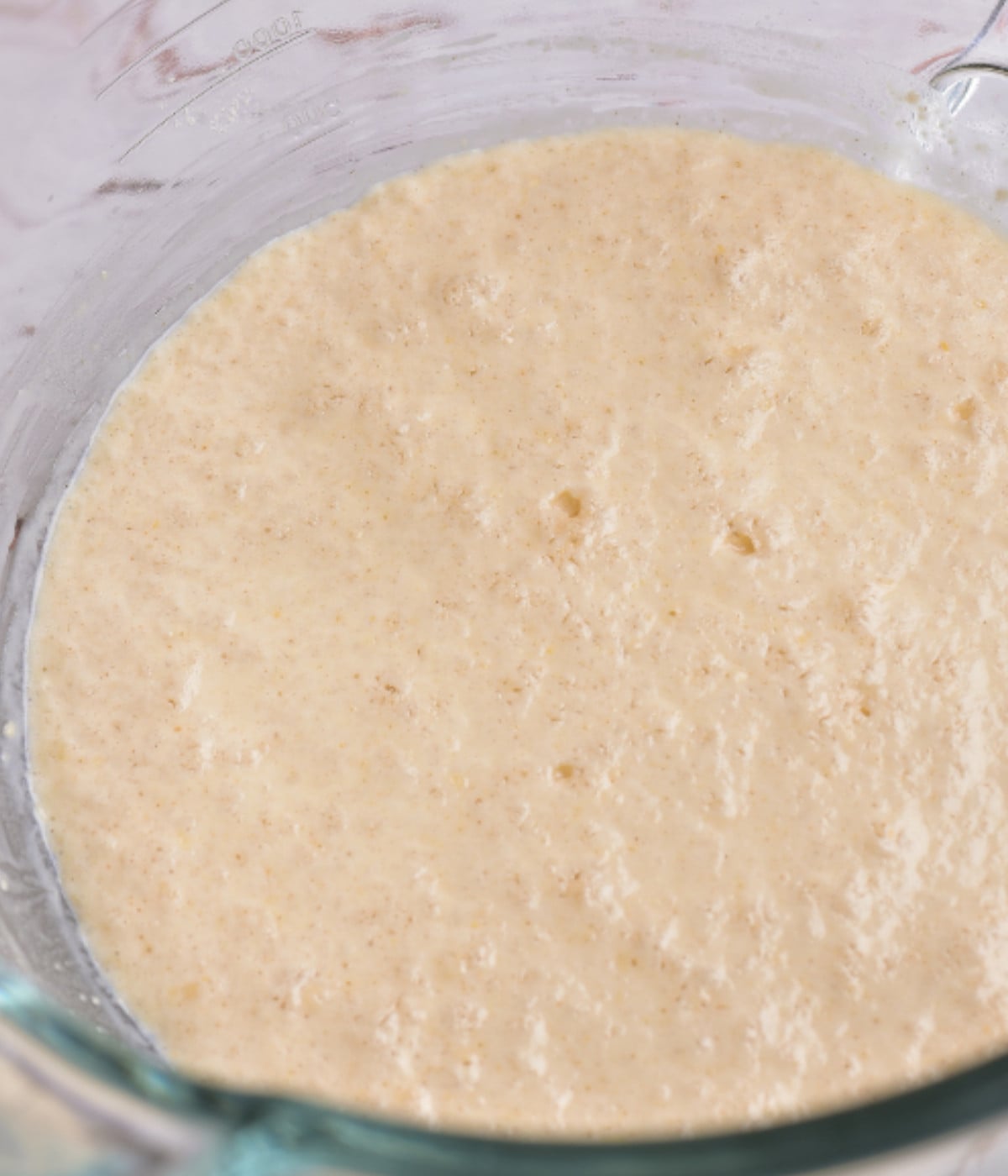 Activated yeast and warm water in a bowl.