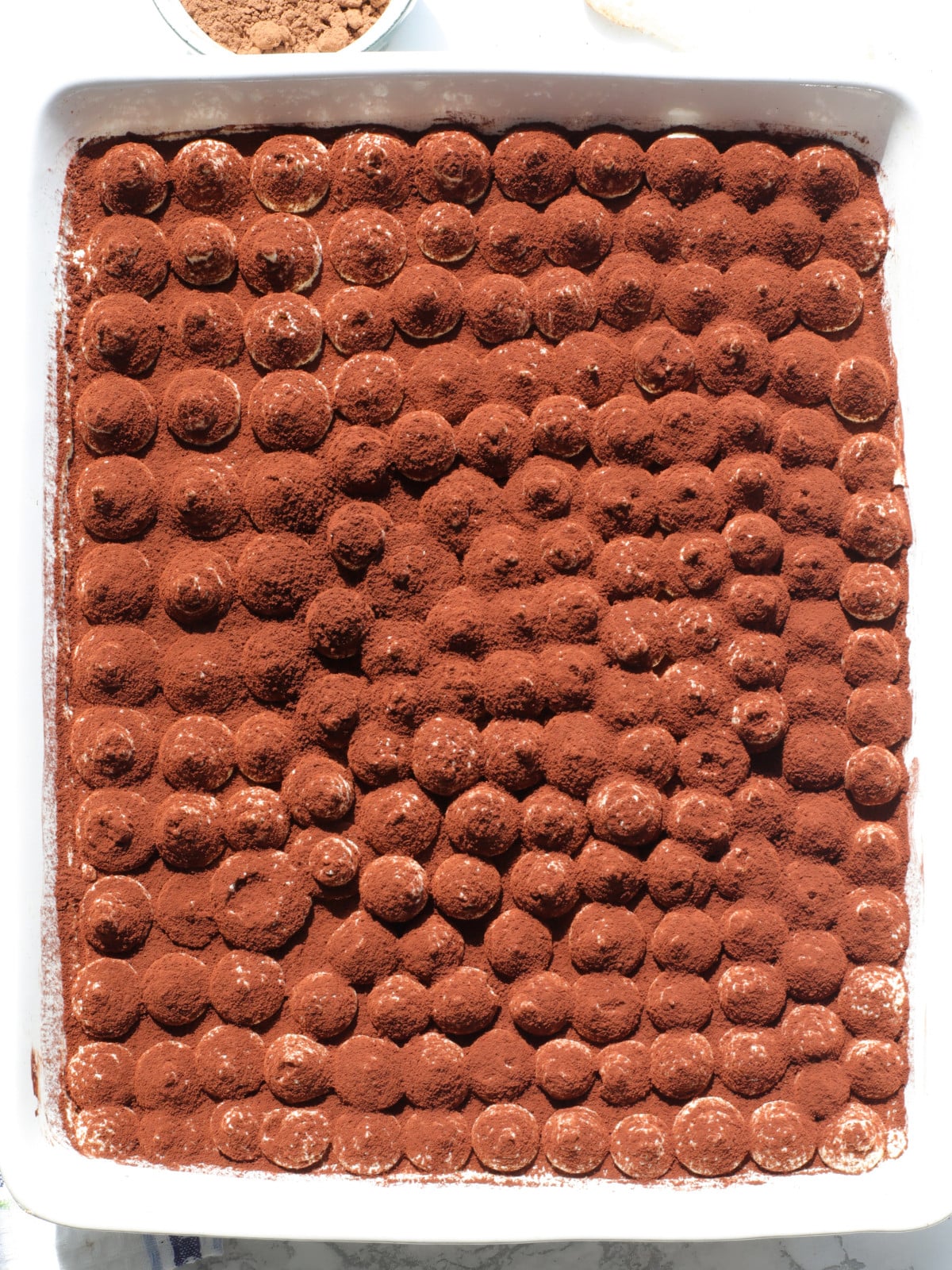 Egg free tiramisu with blobs and cocoa powder on top in a rectangle dish.