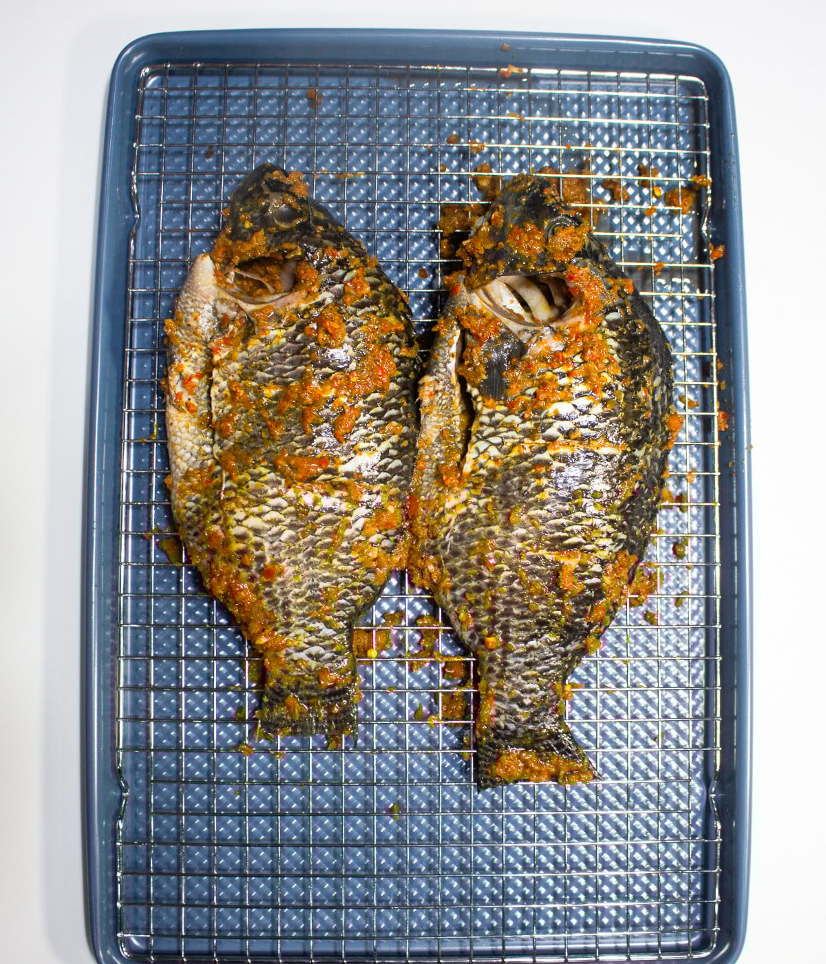 Tilapia marinated with blended pepper mix.