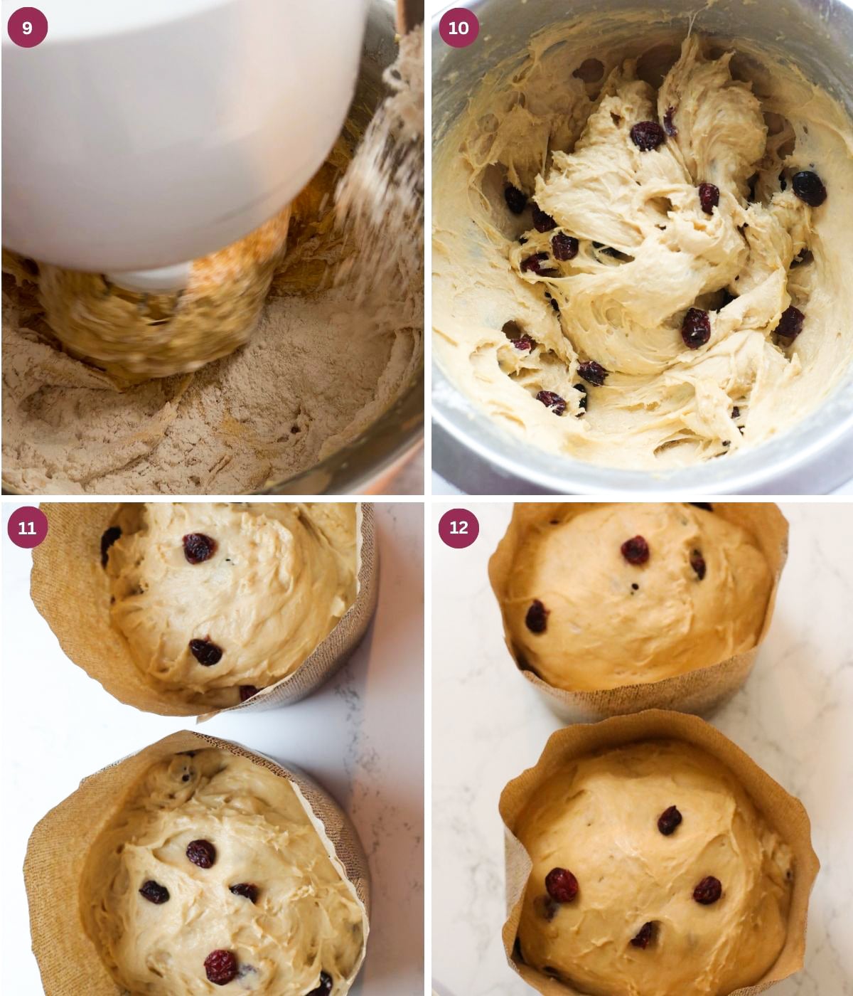 Panettone dough and dried cranberries in a bowl and liner.