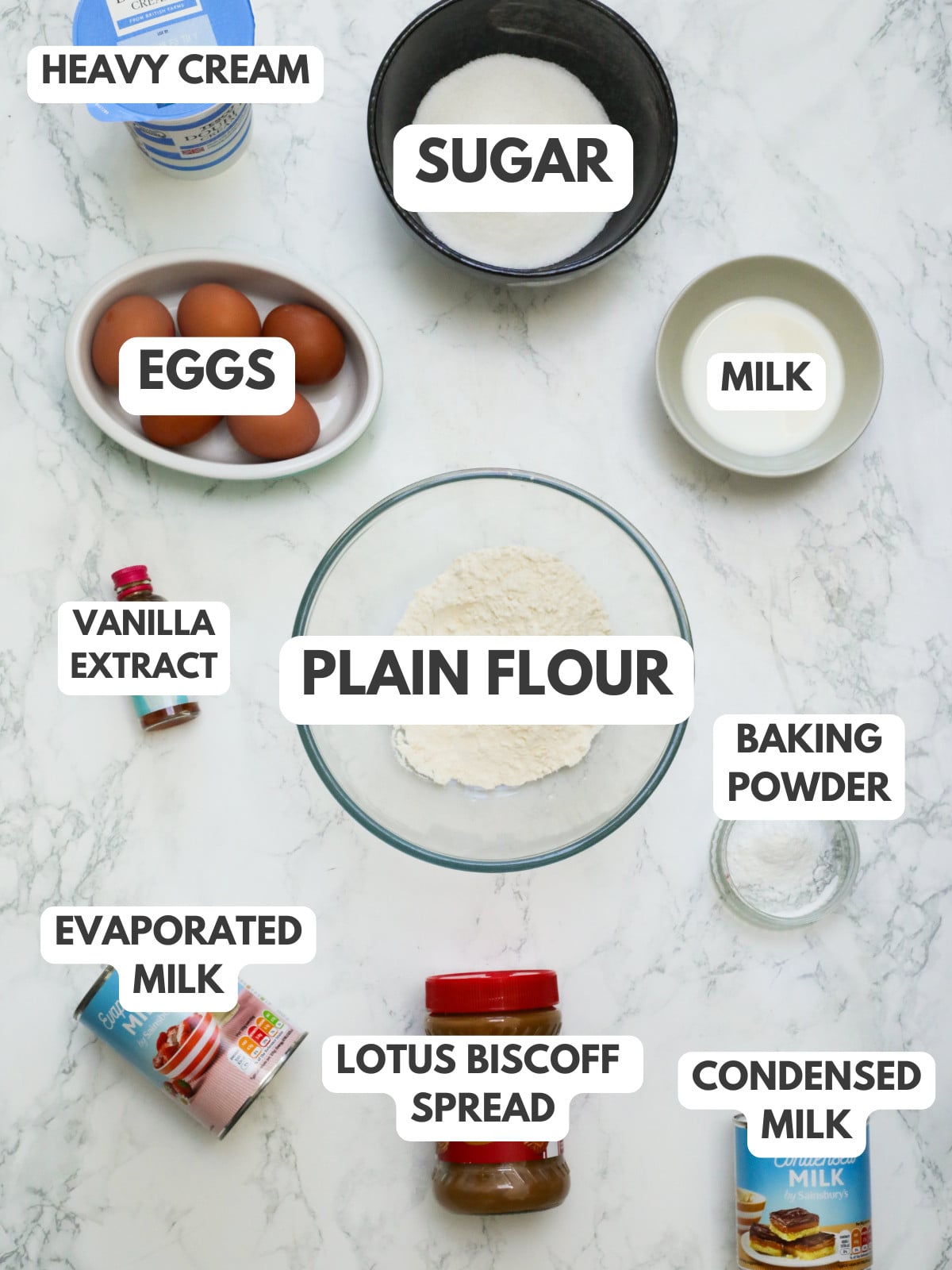 Cream, sugar, milk, eggs, flour, baking powder, milk, lotus biscoff spread and vanilla.