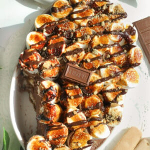 S'more Tiramisus.