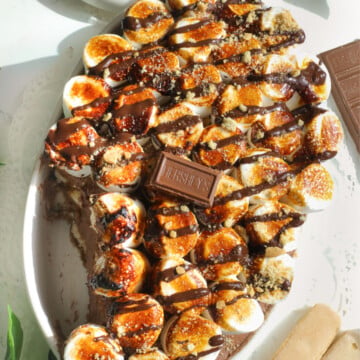 S'more Tiramisus.