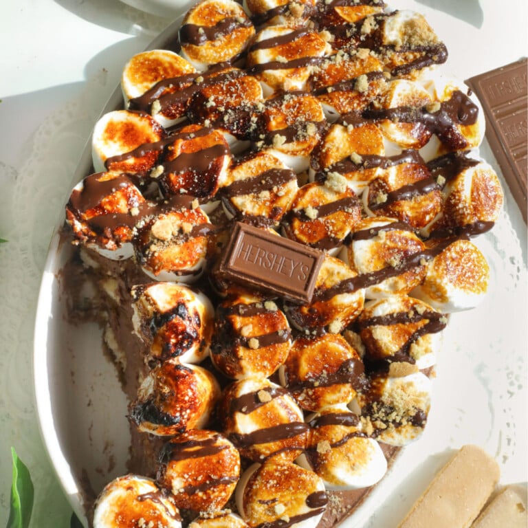 S'more Tiramisus.